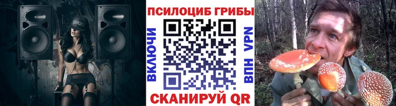 сайты даркнета официальный сайт  Дрезна  Псилоцибиновые грибы прущие грибы 